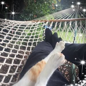 Meet your Posher, Annette